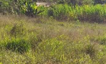 Imagem: TERRENO RESIDENCIAL em Jarinu - SP, Trieste