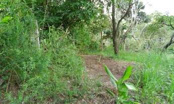 Imagem 4: TERRENO RESIDENCIAL em Jarinu - SP, Ypê