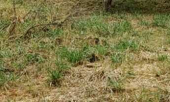 Imagem 4: TERRENO RESIDENCIAL em JARINU - SP, Lagos de Jarinu