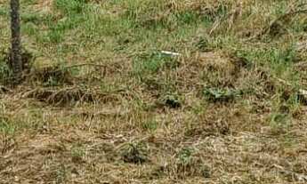 Imagem 5: TERRENO RESIDENCIAL em JARINU - SP, Lagos de Jarinu