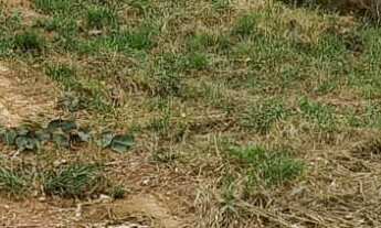 Imagem 6: TERRENO RESIDENCIAL em JARINU - SP, Lagos de Jarinu