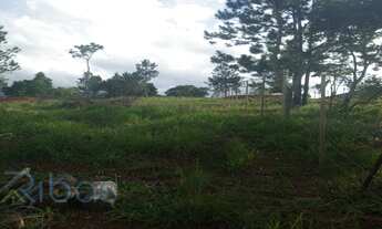 Imagem 5: EXCELENTE TERRENO A VENDA NO BAIRRO SOARES EM JARINU-SP