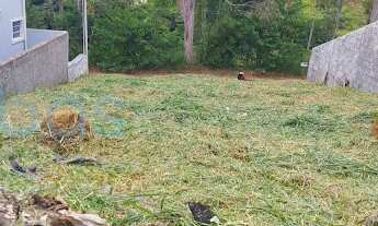 Imagem: Terreno em Nova Trieste - Jarinu, SP