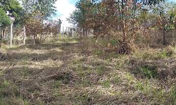 Imagem 3: Terreno em Nova Trieste - Jarinu