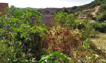 Imagem 3: Terreno em Nova Trieste - Jarinu, SP