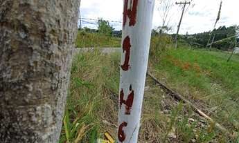 Imagem 6: Terreno em Maracanã - Jarinu, SP