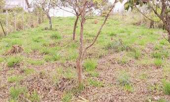 Imagem 7: Terreno em Primavera - Jarinu, SP