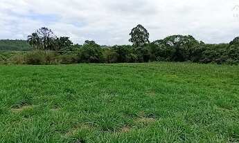 Imagem: Área em Água Preta - Jarinu