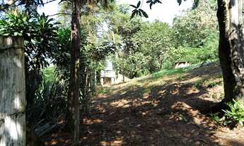 Imagem 7: Chácara em Pinhal - Jarinu