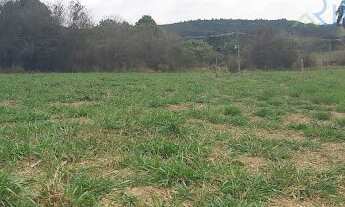 Imagem 3: Terreno em Água Preta - Jarinu