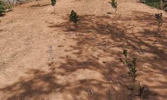 Imagem 4: Terreno em Vila Nova Trieste - Jarinu, SP