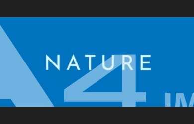 Imagem 6: Apto studio totalmente novo em Torres