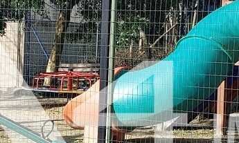 Imagem 2: Apto 2 dorm em Gramado