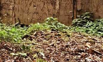 Imagem 3: Terreno à venda em Boiçucanga, São Sebastião-SP, com 407,87 m² de área!