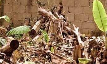 Imagem 2: Terreno à venda em Boiçucanga, São Sebastião-SP, com 407,87 m² de área!