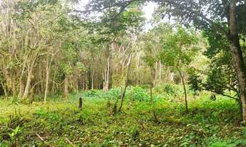Imagem: Terreno à venda em Boiçucanga, São Sebastião-SP