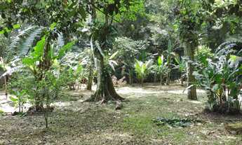 Imagem 2: POUSADA SERTÃO DO CACAU