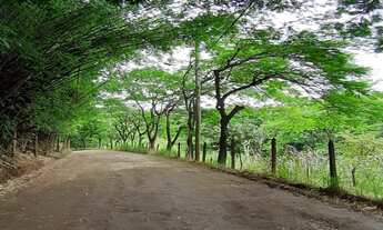 Imagem: TERRENO RURAL em PINHEIRAL - RJ, KM 2