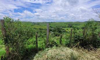 Imagem 6: TERRENO RESIDENCIAL em PIRAÍ - RJ, ARROZAL
