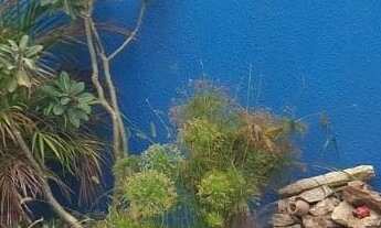 Imagem: CASA COM 2 QUARTOS E ÁREA GOURMET, NO VILLAGE