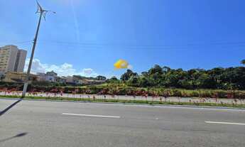 Imagem 7: EXCELENTE ÁREA COM 12.000M² A VENDA NA LINHA VERDE EM MACAÉ, RJ