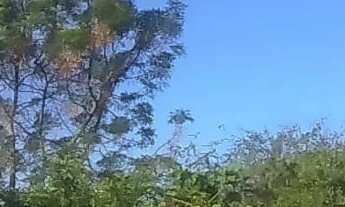 Imagem: Terreno com 3.854 metros quadrados, no