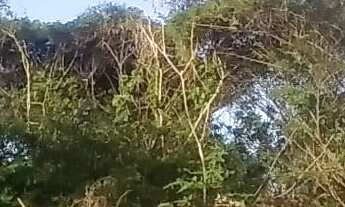 Imagem 4: Terreno com 3.854 metros quadrados , no bairro Verdes Mares em Rio das Ostras RJ