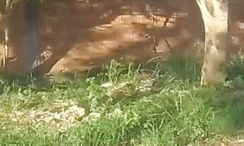 Imagem 6: Terreno com 3.854 metros quadrados , no bairro Verdes Mares em Rio das Ostras RJ