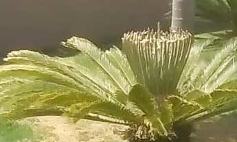 Imagem 6: CASA DUPLEX COM 3 SUITES NO BAIRRO ENSEADA DAS GAIVOTAS EM RIO DAS OSTRAS RJ