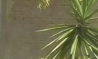 Imagem 3: CASA DUPLEX COM 3 SUITES NO BAIRRO ENSEADA DAS GAIVOTAS EM RIO DAS OSTRAS RJ