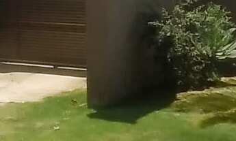 Imagem 5: CASA DUPLEX COM 3 SUITES NO BAIRRO ENSEADA DAS GAIVOTAS EM RIO DAS OSTRAS RJ