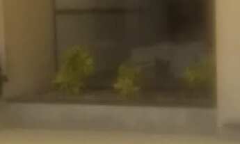 Imagem 4: APARTAMENTO COM 4 QUARTOS A VENDA NO NOVO RIO DAS OSTRAS, RJ