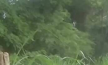 Imagem 5: TERRENO COM 600m² A VENDA NO BAIRRO SERRAMAR EM RIO DAS OSTRAS RJ