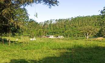 Imagem 2: CHACARA 25000 M²