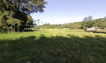 Imagem 7: CHACARA 25000 M²