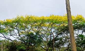 Imagem 4: Chacara Havan com lagoa e nascente