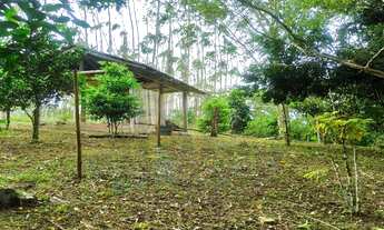 Imagem 5: Chacara Havan com lagoa e nascente