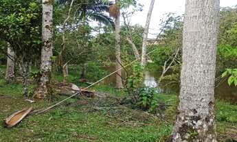 Imagem 6: Chacara Havan com lagoa e nascente