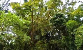 Imagem 7: Chacara Havan com lagoa e nascente