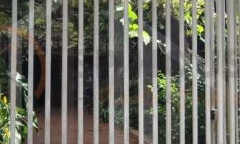 Imagem 3: Terreno à venda, 387m², Zoneamento ZEU, Chácara Inglesa