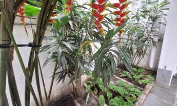 Imagem 2: Casa a venda Saúde, 4 quartos sendo 1 suite, 2 vagas, 198m²