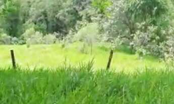 Imagem 5: O LUGAR PE Chácara com 2 dormitórios