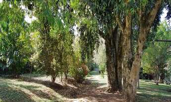 Imagem: Ótimo Sítio, em localização excelente