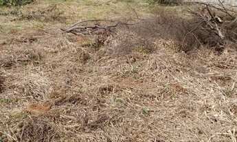 Imagem 2: Terreno plano em Jarinu no Bairro Nova Trieste!! Venha conferir!!