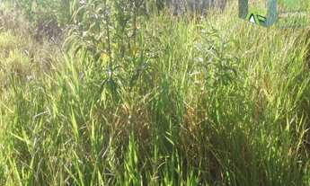 Imagem 7: Terreno plano em Jarinu no Bairro Nova Trieste!! Venha conferir!!