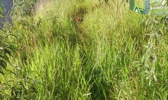 Imagem 6: Terreno plano em Jarinu no Bairro Nova Trieste!! Venha conferir!!