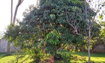 Imagem 6: Chácara bem localizada!!! Linda vista e por do Sol maravilhoso!! Estuda permuta de menor