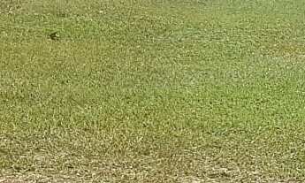 Imagem 2: Terreno no Condomínio Villa Verona, Sorocaba-SP