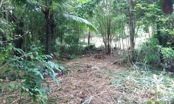 Imagem 7: Excelente imóvel comercial medindo 1.368,00m², com 20,00m de frente para Avenida Nilo Peça