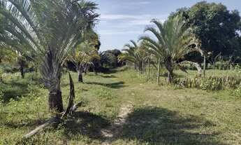 Imagem: Excelente área com 7.050,00m², com água